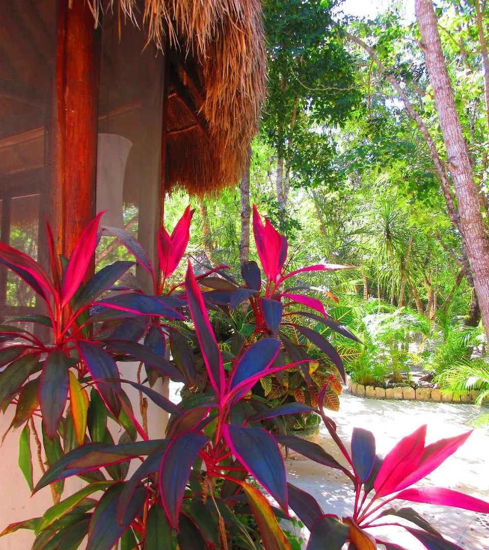 Pueblito Selva Chemuyil Villa Messico